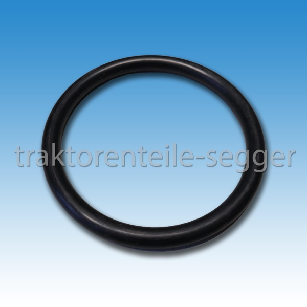 O-Ring f. Dachhaube Fritzmeier 127 201